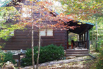 yellow owl cabin